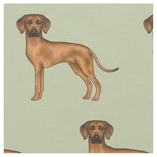 Rhodesian Ridgeback Niedlich African Lion Dog Gree Stoff (Nahaufnahme)
