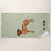 Rhodesian Ridgeback Niedlich Brown Lion Dog mit Na Strandtuch (Vorderseite)