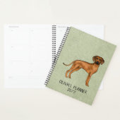 Rhodesian Ridgeback Niedlicher brauner Hund mit Te Planer (Anzeige)