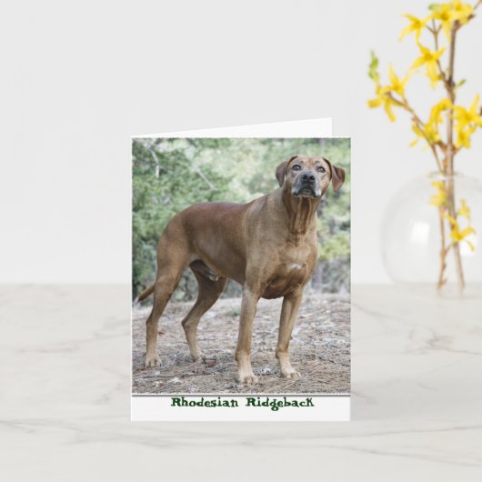 Rhodesian Ridgeback Notecards Karte (Gelbe Blume)