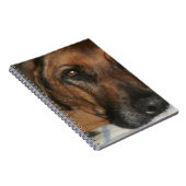 Rhodesian Ridgeback Notizblock (Rechte Seite)