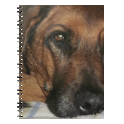 Rhodesian Ridgeback Notizblock (Vorderseite)