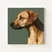 Rhodesian Ridgeback Notizblock (Rückseite)