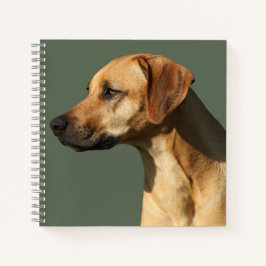 Rhodesian Ridgeback Notizblock
