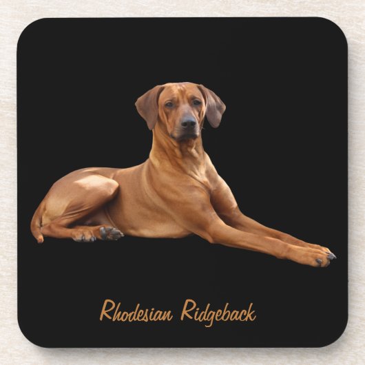 Rhodesian Ridgeback onderzetters (set van 6 stuks) Getränkeuntersetzer (Vorderseite)