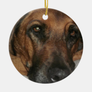 Rhodesian Ridgeback Ornament