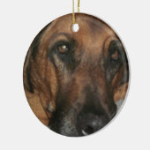 Rhodesian Ridgeback Ornament (Links)