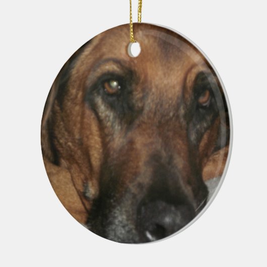 Rhodesian Ridgeback Ornament (Links)