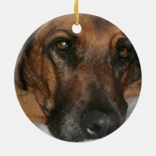 Rhodesian Ridgeback Ornament (Hinten)