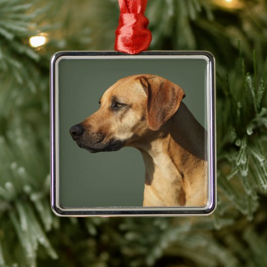 Rhodesian Ridgeback Ornament Aus Metall (Baum)