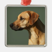 Rhodesian Ridgeback Ornament Aus Metall (Vorne)