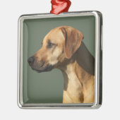 Rhodesian Ridgeback Ornament Aus Metall (Links)