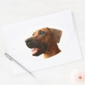 Rhodesian Ridgeback Ovaler Aufkleber (Umschlag)