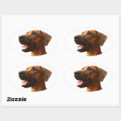 Rhodesian Ridgeback Ovaler Aufkleber (Blatt)