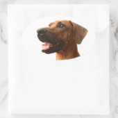Rhodesian Ridgeback Ovaler Aufkleber (Tasche)