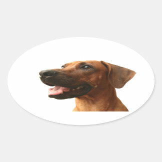 Rhodesian Ridgeback Ovaler Aufkleber