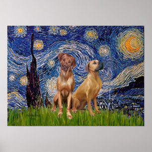 Rhodesian Ridgeback-Paar - Sternennacht Poster