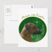 Rhodesian Ridgeback Peace Postkarte (Vorne/Hinten)
