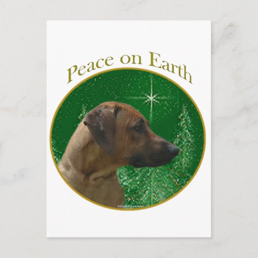 Rhodesian Ridgeback Peace Postkarte (Vorderseite)