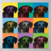 Rhodesian Ridgeback Pop-Art Poster (Vorne)
