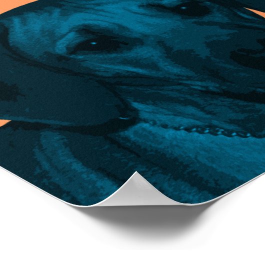 Rhodesian Ridgeback Pop-Art Poster (Ecke)