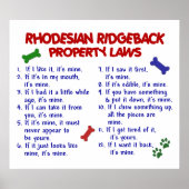 RHODESIAN RIDGEBACK POSTER (Vorne)