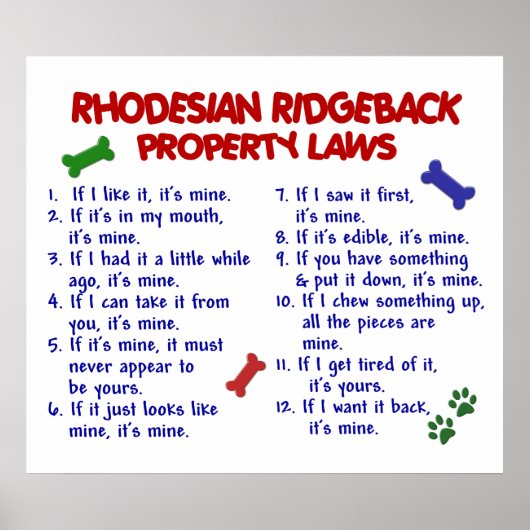 RHODESIAN RIDGEBACK POSTER (Vorne)