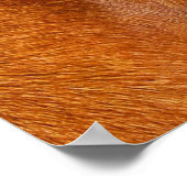 Rhodesian ridgeback poster (Ecke)