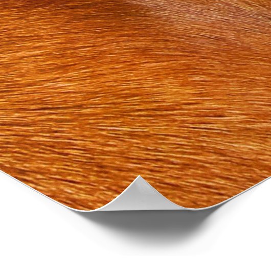 Rhodesian ridgeback poster (Ecke)