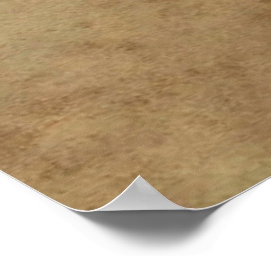 Rhodesian Ridgeback Poster (Ecke)