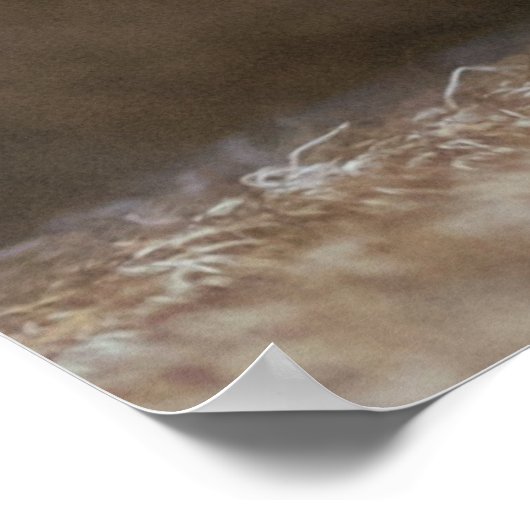 Rhodesian Ridgeback Poster (Ecke)