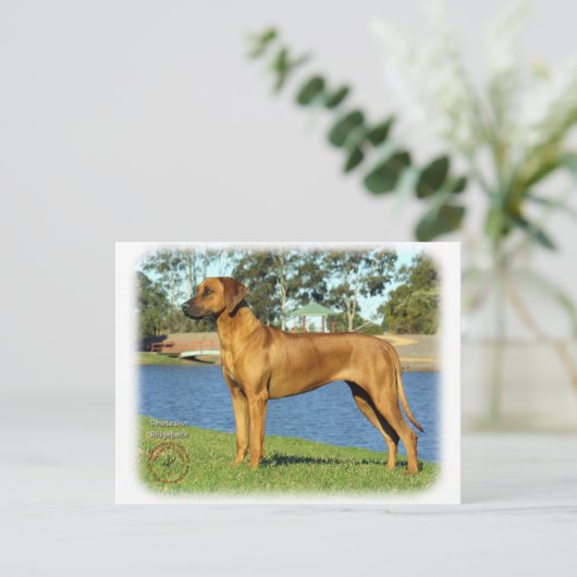 Rhodesian Ridgeback Postkarte (Stehend Vorderseite)