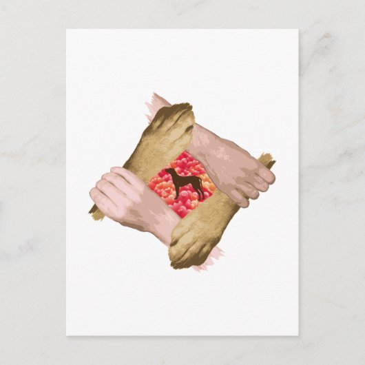 Rhodesian Ridgeback Postkarte (Vorderseite)