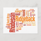 Rhodesian Ridgeback Postkarte (Vorderseite)