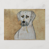 Rhodesian Ridgeback Postkarte (Vorderseite)