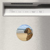 Rhodesian Ridgeback Products Magnet (In Situ (Geschirrspüler))