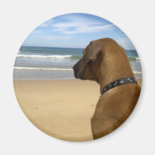 Rhodesian Ridgeback Products Magnet (Vorne)