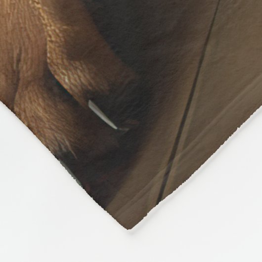 Rhodesian Ridgeback Pumpkins Halloween Beängstigen Fleecedecke (Ecke)