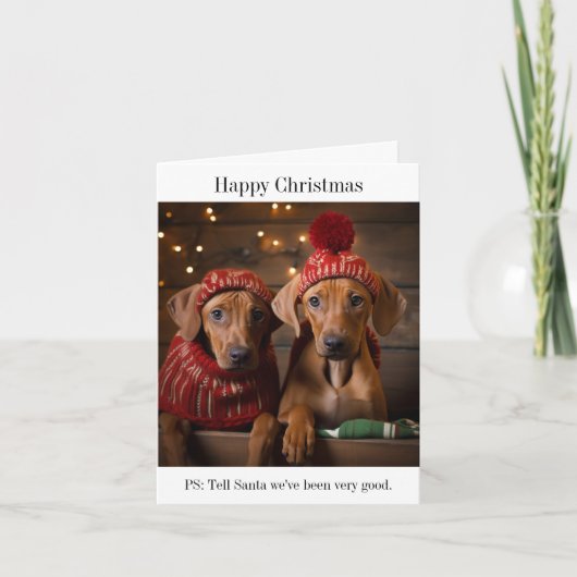 Rhodesian Ridgeback Puppies Frohe Weihnachtskarte Karte (Vorderseite)
