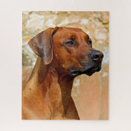 Rhodesian Ridgeback Puzzle