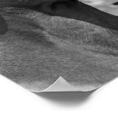 Rhodesian Ridgeback Quotes Poster (Ecke)