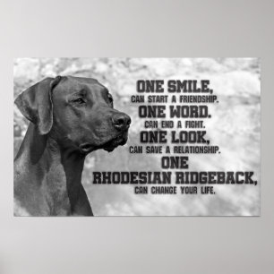 Rhodesian Ridgeback Quotes Poster
