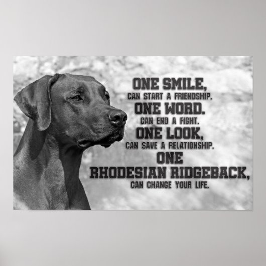 Rhodesian Ridgeback Quotes Poster (Vorne)