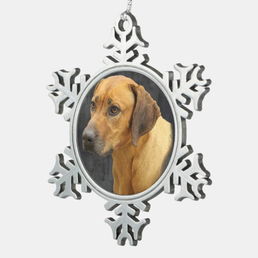 Rhodesian Ridgeback Schneeflocken Zinn-Ornament (Rechts)