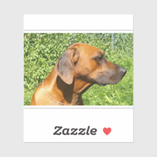 rhodesian ridgeback Second Aufkleber