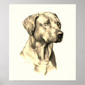 Rhodesian Ridgeback sketch poster (Vorne)