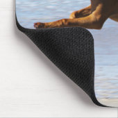Rhodesian Ridgeback - Sprung Mousepad (Ecke)