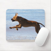 Rhodesian Ridgeback - Sprung Mousepad (Mit Mouse)