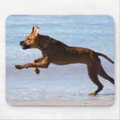 Rhodesian Ridgeback - Sprung Mousepad (Vorne)