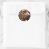 Rhodesian Ridgeback Stickers (Tasche)